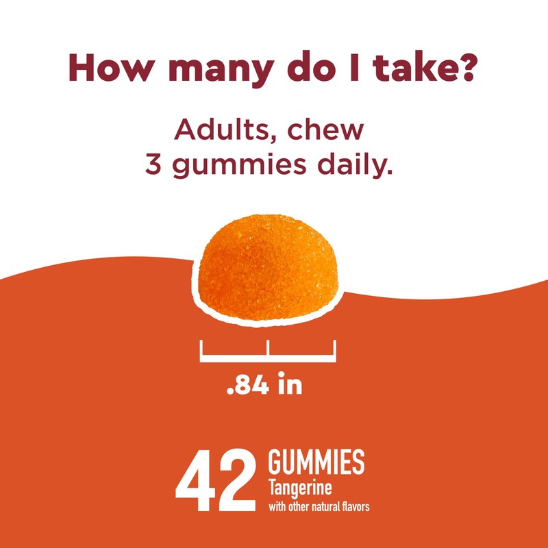 Nature Made Nature Made Wellblends ImmuneMAX Gummies, Vitamin C 1000mg