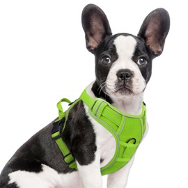 Joytale Step-in No Pull Dog Harness for Small Dogs with 2 Leash Clips, Reflective Pet Vest with Easy Control Handle, Adjustable Soft Padded Harness for Walking and Training, Green,S