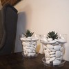 Kalapanta - Test Kit 12 Decorative Stones (10 Small, 2