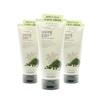 The Face Shop Herb Day 365 Cleansing Foam 170ml x 3 - Mung Bean & Mugwort / 더페이스샵 허브데이 365클렌징폼170mlx3-녹두앤쑥