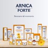 Erboristeria Magentina Arnica Forte Pomata 100 ml Tubo