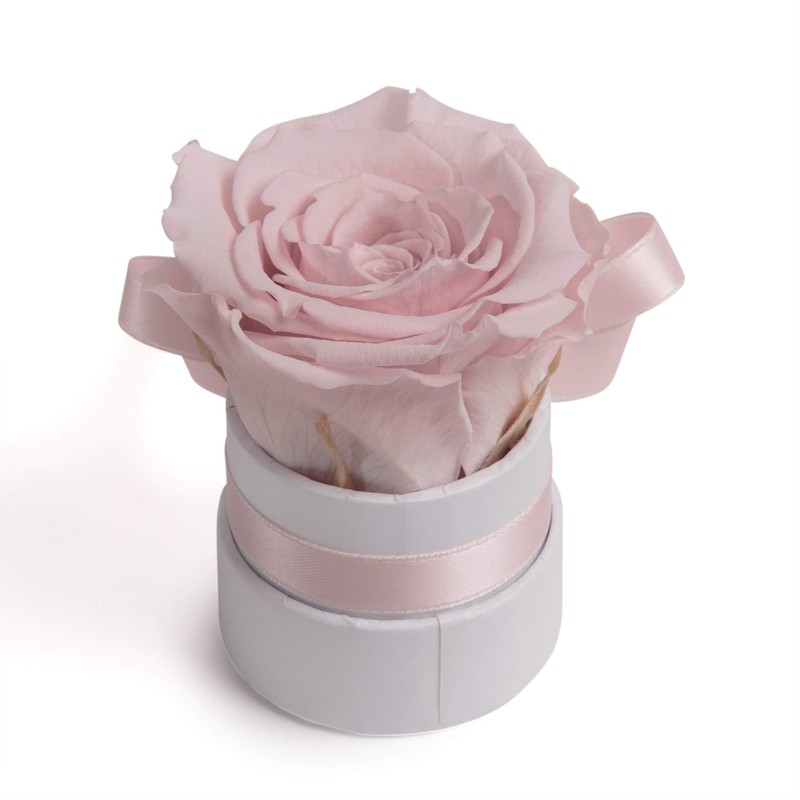 ROSEMARIE SCHULZ Heidelberg Small Rose Box White Round Infinity Rose