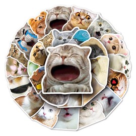 Meme sticker cat sticker aesthetic cat things cute sticker car sticker cat sticker set adult aesthetic stickers cool stickers funny stickers for adults cat stickers cat stickers cat stickers