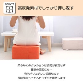 SUNGRAN Floor Cushion, High Resilience Cushion, Sitting Cushion, Seat Cushion, Stiff, Thick, Washable Cover, Handle Included, Cushion That Does Not Hurt Your Butt, 15.0 x 15.0 x 6.7 inches (38 x 38 x 17 cm), Blue