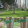 Tree Straps for Staking, 8 PCS Tree Support Straps for