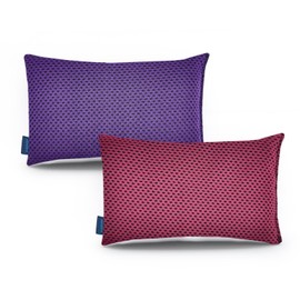 YouniDint Antiperspirant Hand Bag,Hand Sweat Absorber Pack for Professional Gamer,Sports Lover, Traveler, Decompression Hand Sweat Packs for Gamepad Grip,Computer Mouse (2×150g)