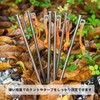 AVOFOREST Titanium Pegs, Thick Head, 7.9 inches (20 cm), 9.8