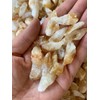GAF TREASURES Wholesale Rough Citrine 0.5-1.25", Natural Small Citrine Point/Stone,