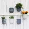 LA Jolie Muse Wall Hanging Planters for Indoor Plants，Hanging Flower