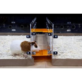 GuineaLoft™ Cage Connector (Version 2) - Connects Guinea Pig Cages Through Corridors, Easy to Insert, Easy to Remove, Can Be Closed, Adds Space and Structures,Exclusive by Guinea Loft
