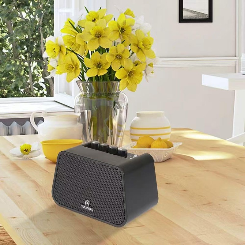 COOLMUSIC Mini Electric Guitar Amp, Rechargeable 10W Guitar Speaker with