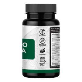 Ginkgo Biloba 120mg 240caps Ayuda Memoria Reduce Fatiga Vnat Sabor Neutro