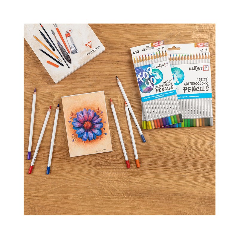 Darwi for you DF2200024K01C DFY 24 Watercolour Pencils