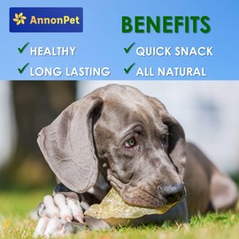 AnnonPet® 10 Orecchie di Manzo Essiccate per Cani – Snack Naturale e Masticativo ad Alta Digeribilità – Ricche di Proteine, Senza Additivi – Ideali per Igiene Dentale, Antistress