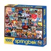 Springbok 1000 Piece Jigsaw Puzzle What's on TV? - Made