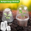 RooTrimmer 6 Inch Clear Humidity Dome, 30 Pcs Adjustable Plant