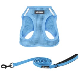 Voyager Step-in Air All Weather Mesh Harness and Reflective Dog 5 ft Leash Combo with Neoprene Handle, for Small, Medium and Large Breed Puppies by Best Pet Supplies - Set (Baby Blue), L