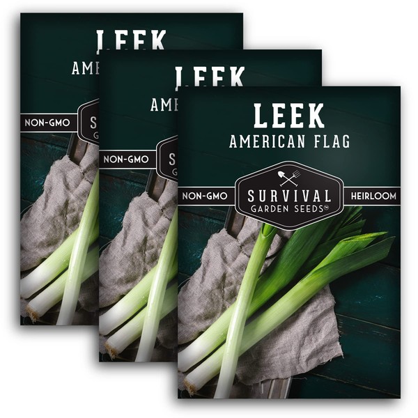Survival Garden Seeds - Large American Flag Leek Seed for