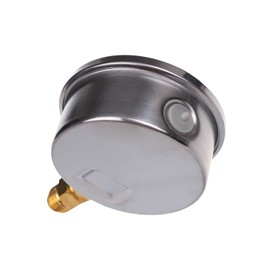 THERMIS Pressure Gauge 304G 1/4 Connection from Below (0 - 60 bar) 63 mm