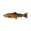SAVAGE GEAR 4D PULSETAIL Trout 6 PULG SPT150-C-CARP