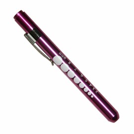 Professional Medical Diagnostic Penlight with Pupil Gauge Purple with 2 AAA Batteries by Vilmark (Purple)