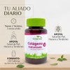 Vidanat Colàgeno Hidrolizado -120 càpsulas
