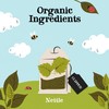 Clipper Organic Nettle Teabags 20 per pack - Pack of