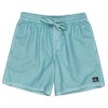 Quiksilver EVERYDAY SURFWASH VOLLEY 17NB Men's Board Shorts, BGW0, L