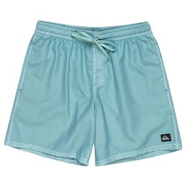 Quiksilver EVERYDAY SURFWASH VOLLEY 17NB Men's Board Shorts, BGW0, L