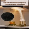 Beaufan 2 Pack CFK4 Carbon Filters Compatible with Cosmo Under