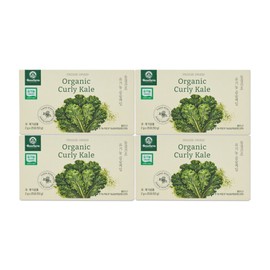 (현대홈쇼핑)베네팜 유기농 곱슬케일 컬리케일 4박스(100포/포당 2g) Hyundai Home Shopping BeneFarm Organic Curly Kale 4 Boxes (100 Packs/2g per Pack)