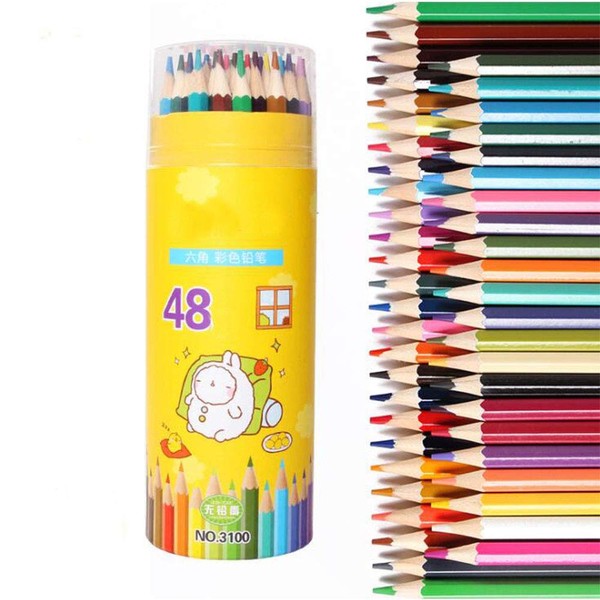 GYY Professional Colored Pencils Set 48 Color Crayon Set Portable Pencil Set of 48 Distinct Colors for Kids School Artist Adult Beginner Children Colored Pencils Set