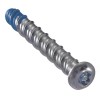 Powers Fasteners 3/8 x 3 Secure Torx Drive Wedge Anchor
