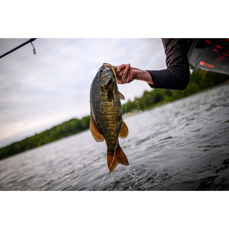 PowerBait Pro Twitchtail Minnow Black-Orange 3in | 8cm