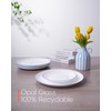 LaGlint 10.5 inch Dinner Plate Set of 6, Lightweight Round