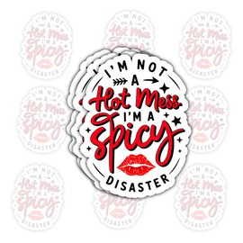 3 Pcs I'm Not A Hot Mess I'm A Spicy Disaster Stickers – Funny Sarcastic Quote Decals for Tumbler, Water Bottle, Laptop – Humorous Gift for People Who Embrace Their Chaos – 3"x3"