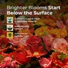 2 Pack Bloom Up Microbial Soil Amendment – Organic Plant