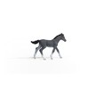 Schleich Horse Club Trakener 13944