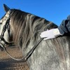 eGlove - eQUEST GripPro X-LITE Horse Riding Gloves - Lightweight,