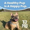 TJ Pro Digestive Support Gravy for Dogs with Sensitive Stomachs,