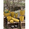 Gardens Eco Pot Series
