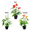 Artificial Flower Living Room Decorative Flowers Plastic Flowers Simulation Potted