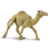 Safari Ltd. Wild Safari Wildlife Dromedary Camel