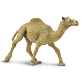 Safari Ltd. Wild Safari Wildlife Dromedary Camel