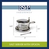 RSVP Stainless Steel Endurance Salt Server with Spoon