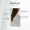 HEBBE COSMETICS MVL12 1VTL1 Manteca De Karité Pura Organica 250g