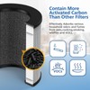 JORAIR D09 Replacement Filter Compatible with Tailulu Air Purifier Cleaner