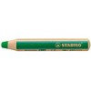 STABILO Watercolour pencil woody light green (880/570)