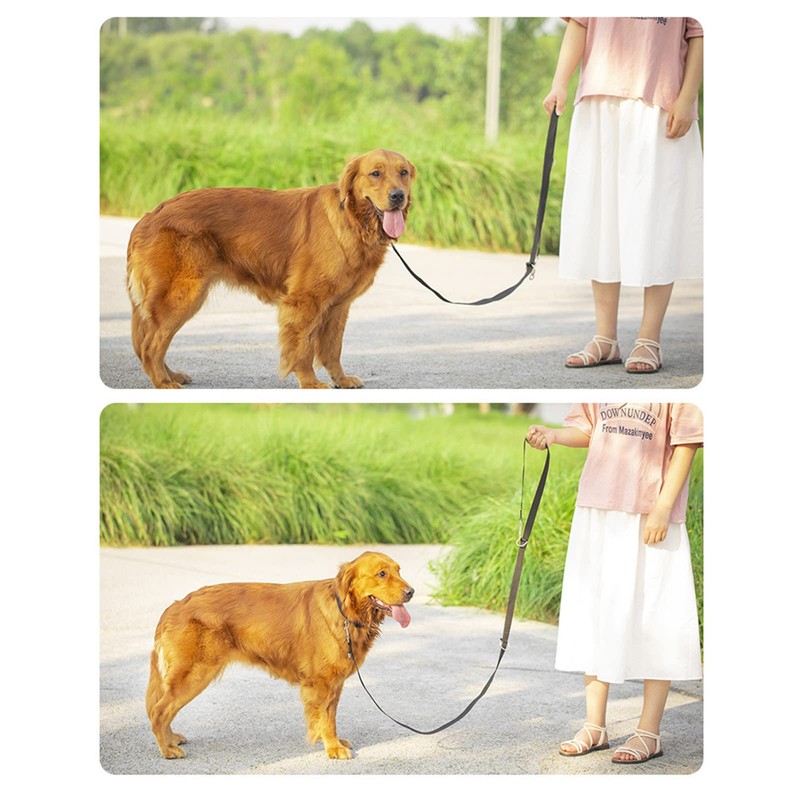 Dog Leash Multifunctional Dog Training Leads 8ft Double Leash for
