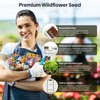 Groundio Wildflower Seeds Mix, 2 Oz, 50,000+ Seeds, 28 Varieties